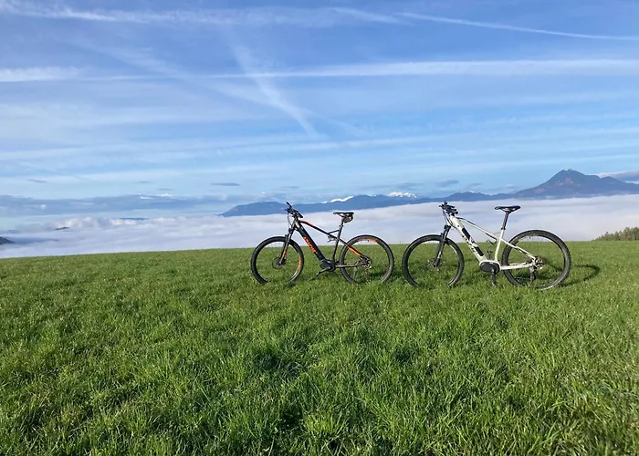 Casa vacanze Tiny House Mislinja